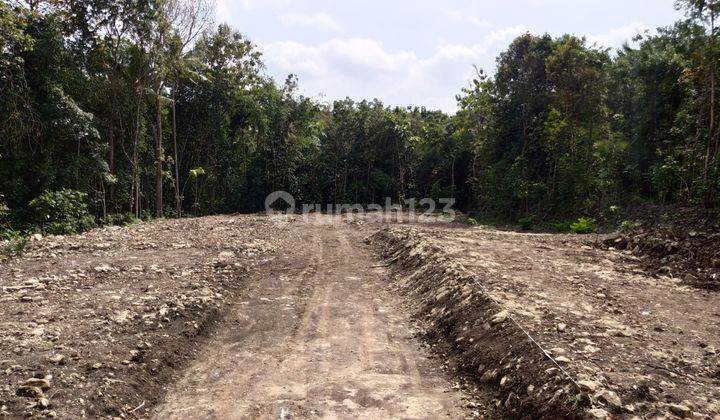 Cicil 12x Tanpa Bunga, Tanah Sedayu Murah, Cocok Investasi 2