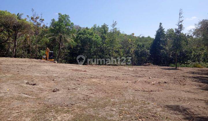 Dekat Kampus 1 Mercu Buana Jogja, Tanah Dijual Sedayu 1 Jt an 2