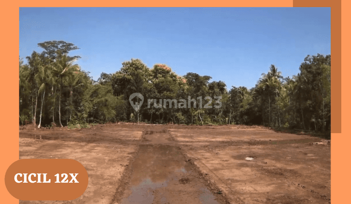 3 Menit Jl.jogja wates Km 9, Tanah Shm p, Cicil 12x Tanpa Bunga 1