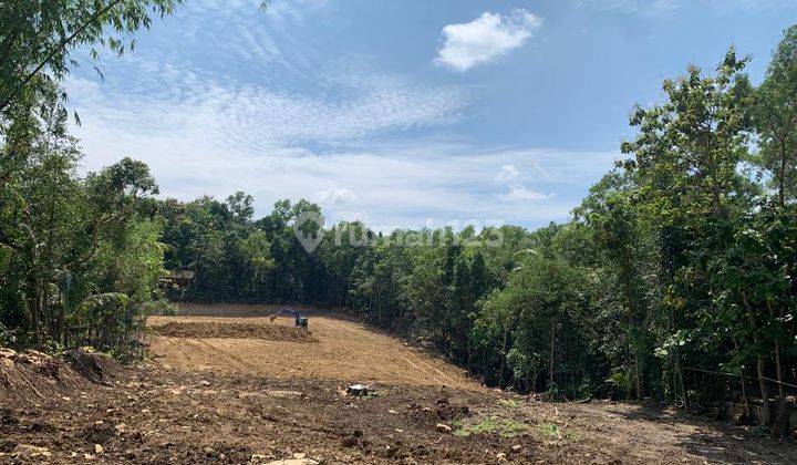 3 Menit Jl.jogja wates Km 9, Tanah Shm p, Cicil 12x Tanpa Bunga 3