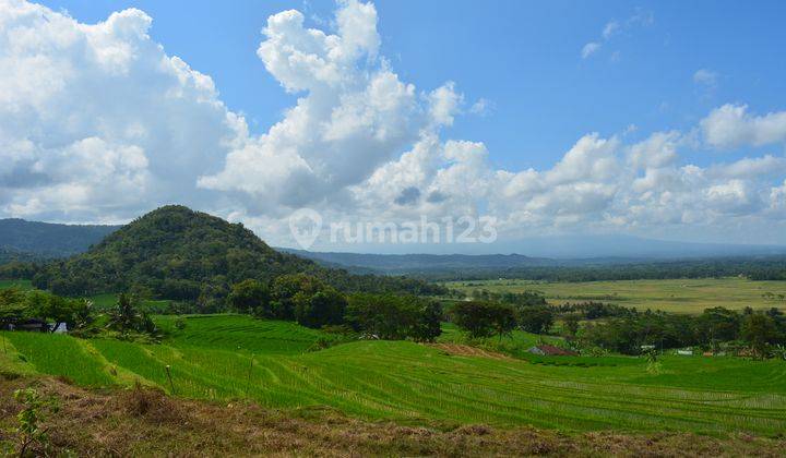 Lahan Datar, Cocok Villa, Kawasan Wisata Menoreh Kulonprogo 4