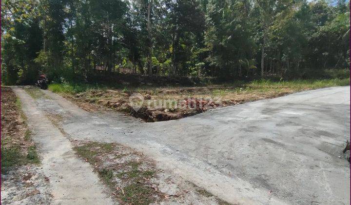 Dijual Cepat, Tanah Sedayu Dekat Kampus Umby 1 Jogja