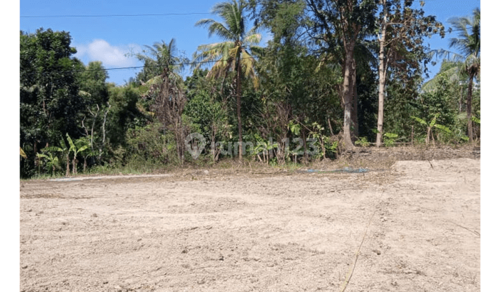 Dijual Kavling Sedayu, Akses Jl. Wates Km. 10, Sertipikat SHM 2