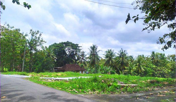 Tanah Kavling Murah, Dekat Polres Kulonprogo 1