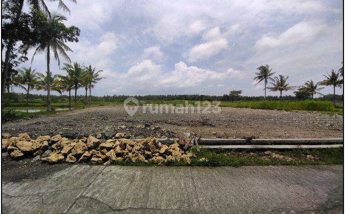 Tanah SHM Jogja Barat Barat Pengadilan Agama Wates  1