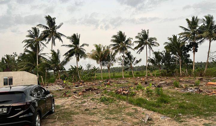 Tanah Dijual Jogja, Dekat Bandara Yia 2