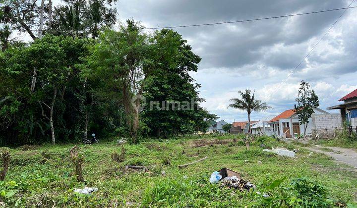 Dijual Tanah Maguwo Jogja, Dekat Kampus Amikom  2