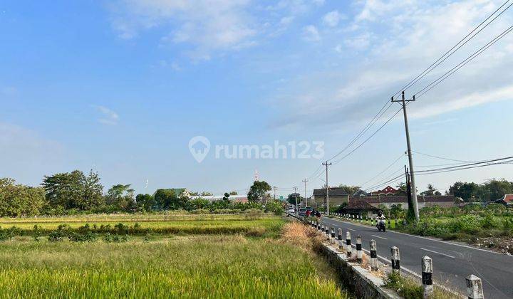 Tanah Mangku Aspal, Cocok Villa Dan Hunian, View Sawah Jogja 2