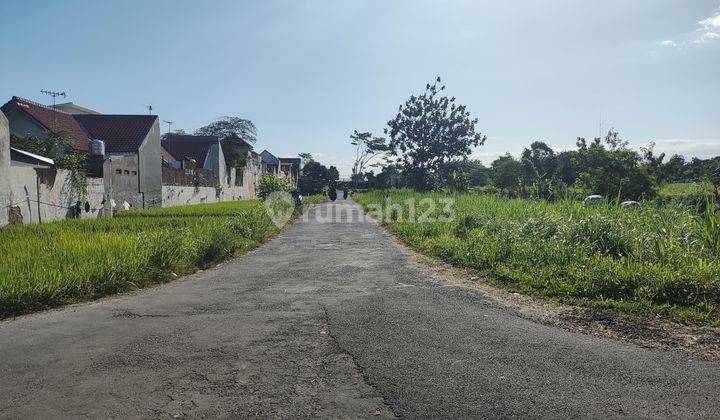 Jual Tanah Jogja 200m Ringroad Utara, Cocok Investasi Hunian 1