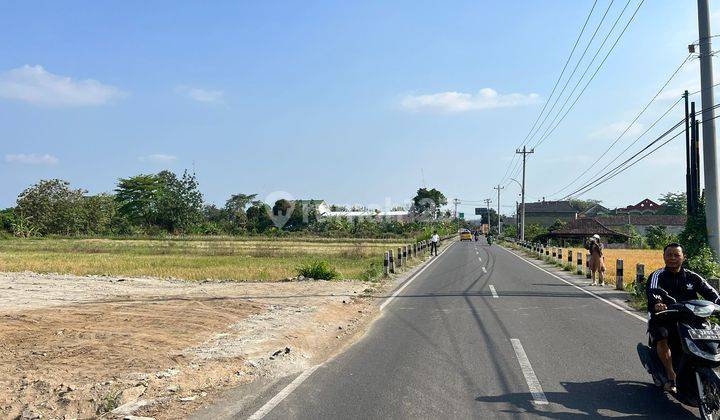 Tanah Godean Dekat SMAN 1 Godean, Cocok untuk Hunian 1