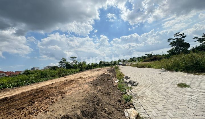 Affordable Land in Jogja, Ideal for Residence and Boarding House Affordable Land in Jogja, Ideal for Residence and Boarding House