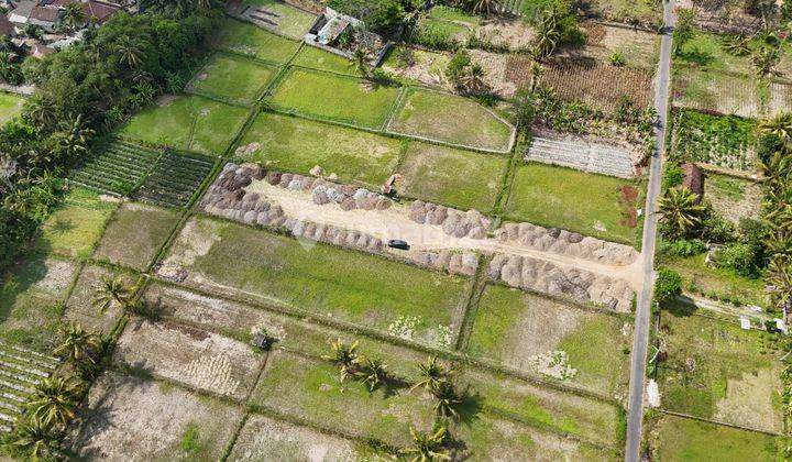 Barat Kampus UII, Tanah Cocok Hunian & Kost, View Sawah Merapi 2
