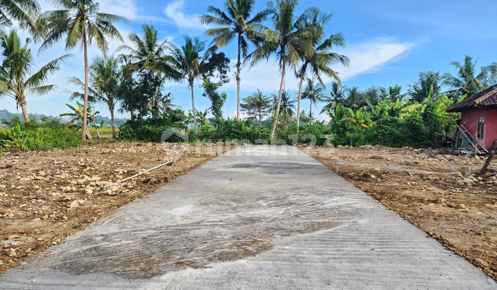 5 Minutes to Yia Jogja Airport, Investment Land, Freehold Title. 5 Minutes to Yia Jogja Airport, Investment Land, Freehold Title.