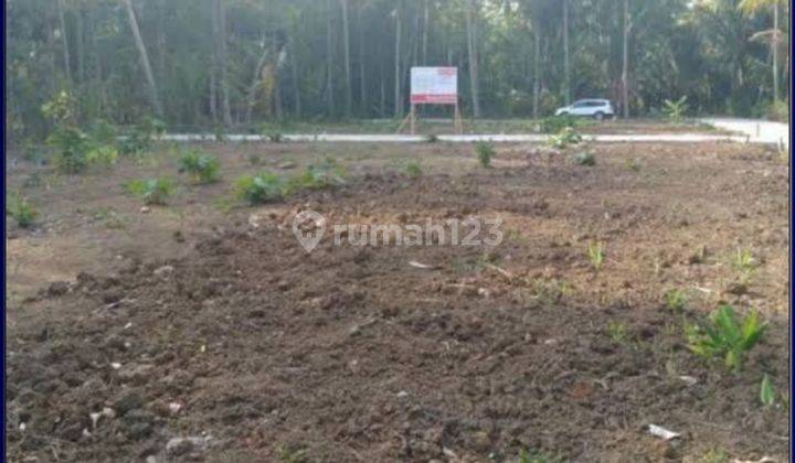 Timur Bandara Yia Tanah Kavling Potensial Panjatan Kulon Progo 2