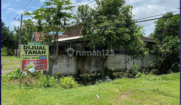  Mangku Jalan Madiun Caruban Tanah Murah Strategis Balerejo 2