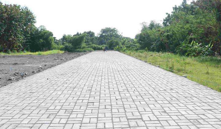 100 Jt an, Tanah Magelang Dekat Candi Bororbudur 2