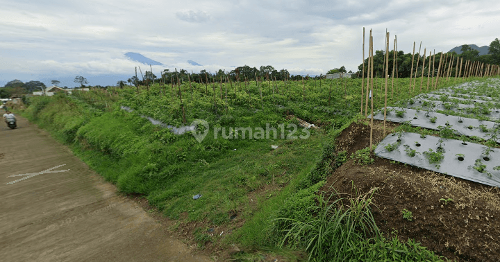 Tanah Dijual Pakis Magelang, View Gunung Dan Sawah, Cocok Villa 1