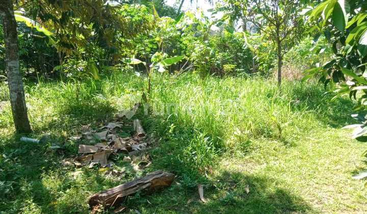 Jual Tanah Premium Magelang Dekat Candi Borobudur 2