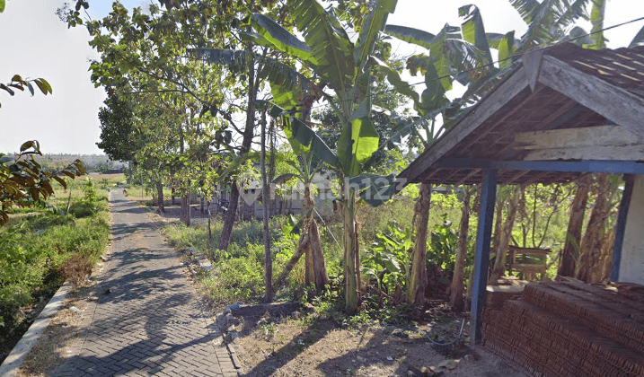 Dijual Murah Tanah di Bojonegoro Selatan, Luas 750 M2, Dekat Pasar Bubulan 1