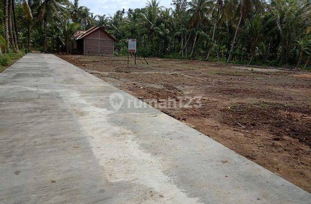Termurah Tanah Sedayu Jogja 100 Jutaan Tepi Jalan 2