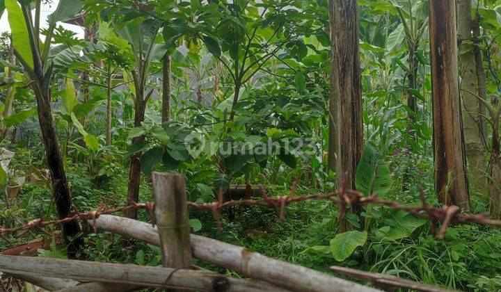 Jarang Ada Tanah Setramurni Bandung Utara Dekat Tol Pasteur  2