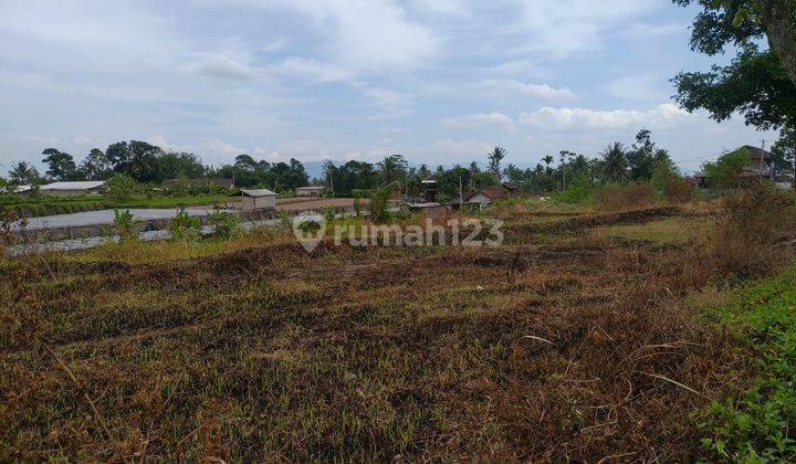 Tanah Murah Mungkid Magelang, 1 Menit Ke Sevilla Hotel  1
