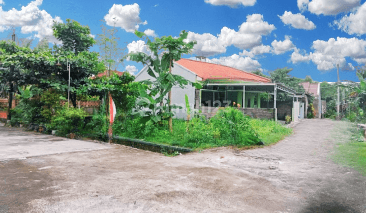 Lingkungan Sejuk View Sawah, Sebidang Tanah Pekarangan Luas 200m 2