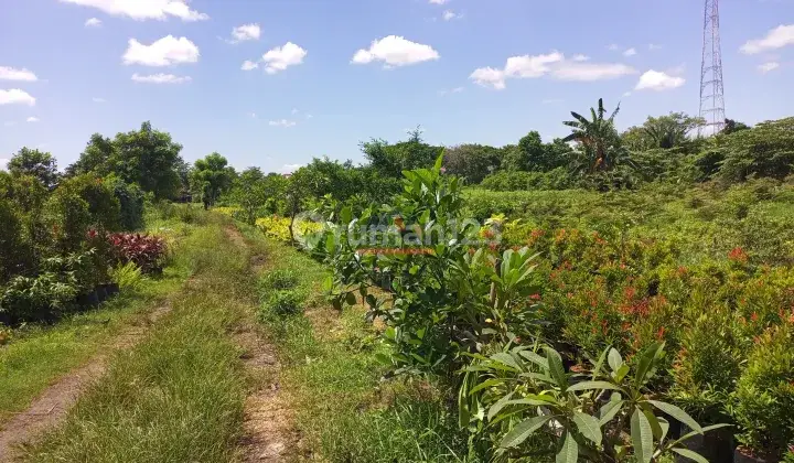 Kavling dengan Lokasi super strategis dan oke di BSD City, Tangerang Selatan 1