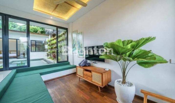 BRAND NEW VILLA FOR RENT IN PADONAN, CANGGU 2