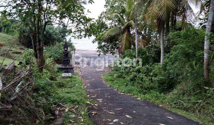 Tanah Jalan Utama Denpasar Gilimanuk View Laut dan Sawah 2