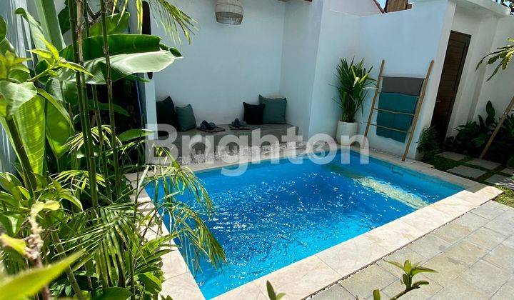 Villa 10 Menit dari Barawa Beach Canggu 1