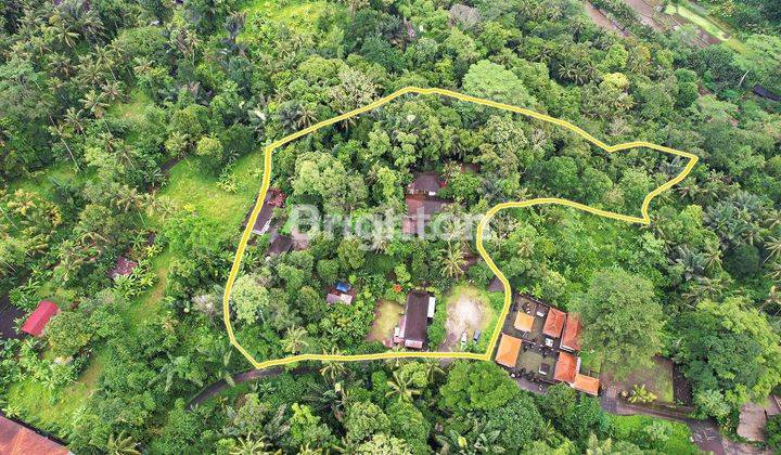 Tanah View Hutan Dan Sungai Dekat Ubud Gianyar 2