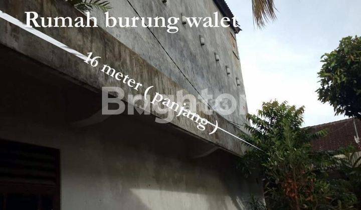 TANAH + BANGUNAN APOTEK + RUMAH WALET DI KLUNGKUNG 2