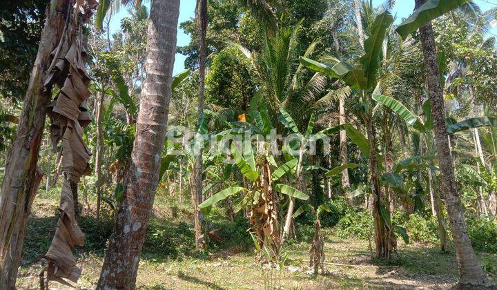 LAHAN COCOK UNTUK VILLA, KLUNGKUNG BALI 1