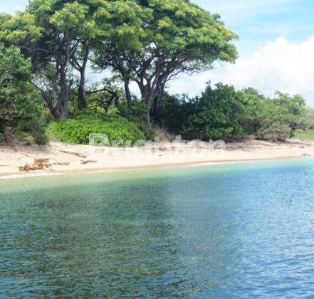 LAND WITH A BEACHFRONT IN BEAUTIFUL SEBABI ISLAND NEAR LABUAN BAJO 2