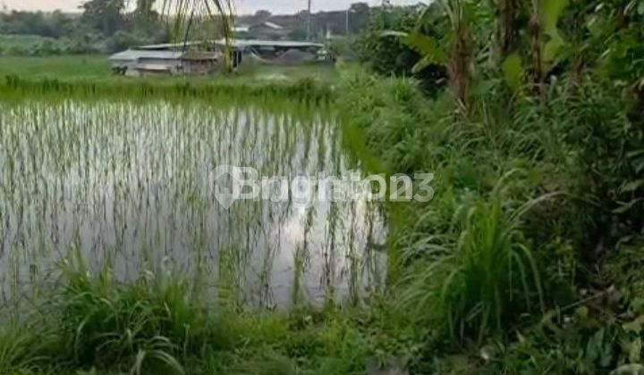 Tanah Hook Pinggir Jalan Utama Bypas Ida Bagus Mantra Sedayu Klungkung 1