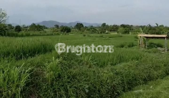 Tanah View Gunung, Sawah dan Laut Dekat Jalan Utama Ida Bagus Mantra Sedayu Takmung Klungkung 1