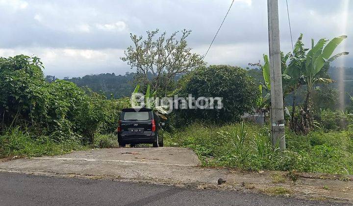 Tanah 30 Are di Plaga Dekat Kintamani 2