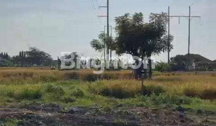 Tanah Kavling Pilih Luas Sendiri Dekat Sekolah Internasional Dyatmika Sanur 2