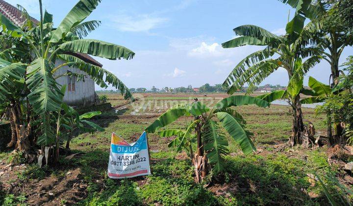 Dijual murah tanah akses kontainer di Bendosari Sukoharjo 2