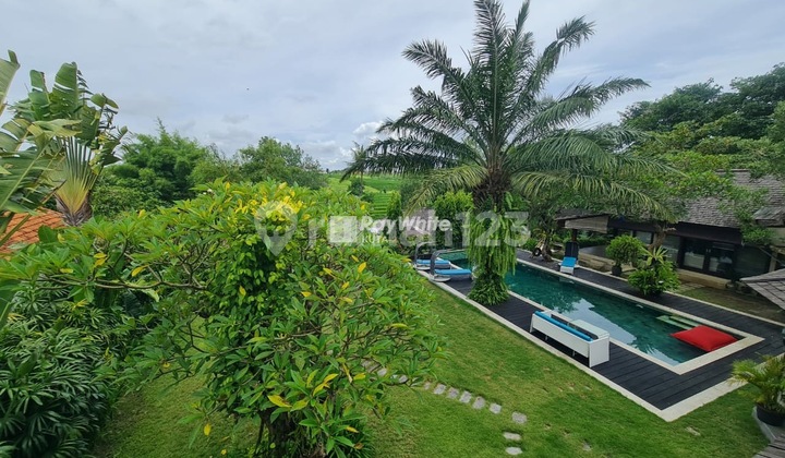 Villa Full Furnished Dan Tanah Dengan View Sawah Dan Sungai di Pererenan, Canggu. Bali 7