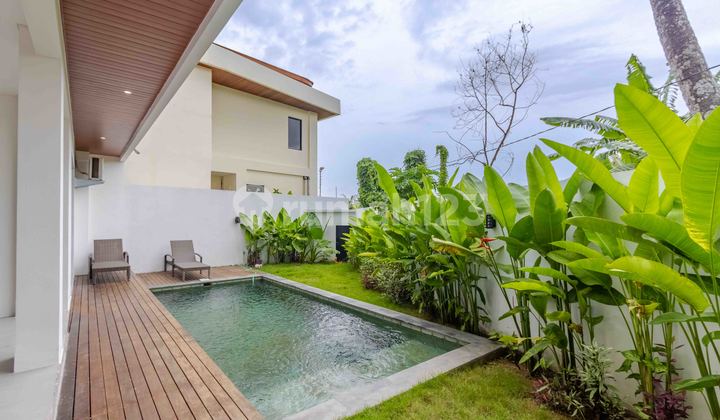 VILLA MODERN TROPIS 4 BR DI TUMBAK BAYUH Bpf1490 VILLA MODERN TROPIS 4 BR DI TUMBAK BAYUH Bpf1490