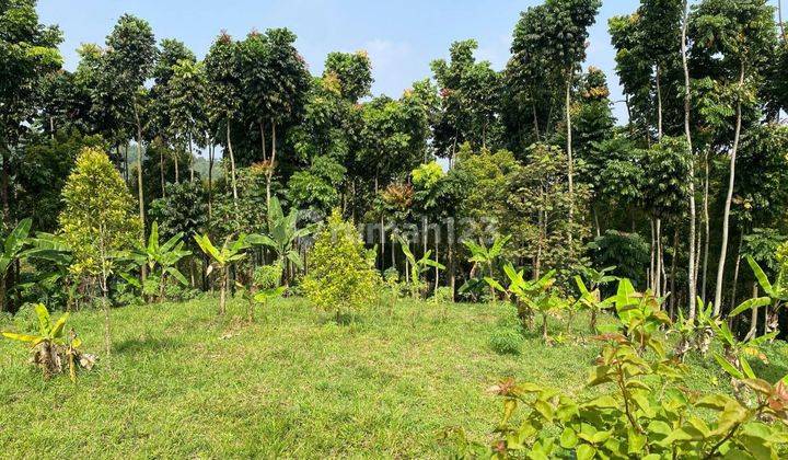 Tanah Dijual Di Sindang Laya Atas Harga Murah 1