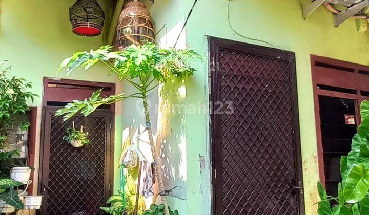 Rumah Bebas Banjir Dekat Kampus Di Kayu Putih S7990 1