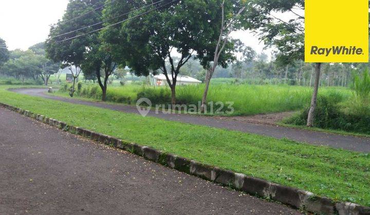 Dijual Tanah SHM di Jalan Oro Oro Ombo Batu 1