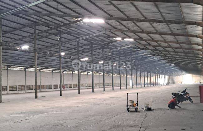 Disewakan gudang 2,5 ha cikande 1