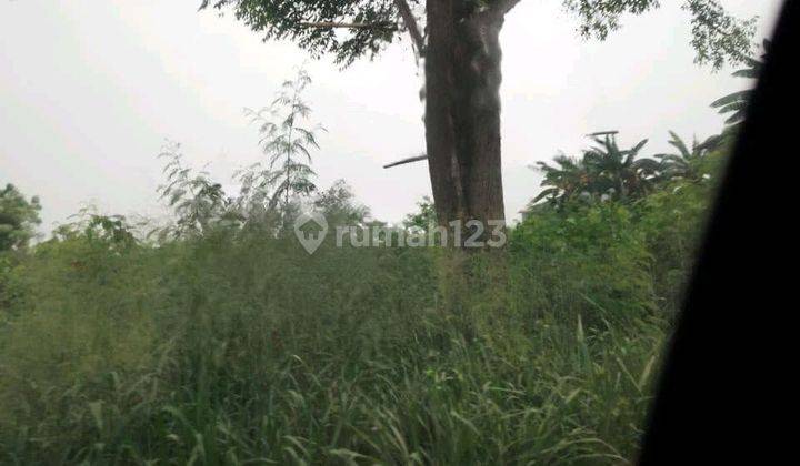 Dijual Tanah Di Bayur Lt 16.500m2 Sepatan Tangerang 1