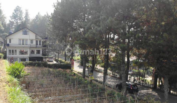 Jual Cepat Murah Kavling di Villa Istana Bunga Lembang Bandung 2