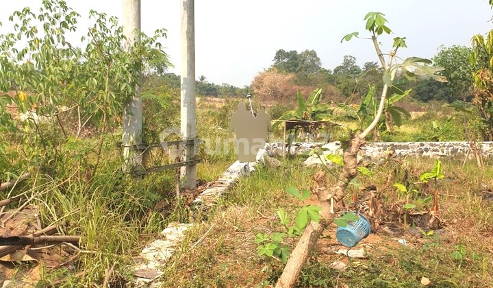 Tanah Luas Cocok Bangun Perumahan Dekat Tol Teja Serang 2