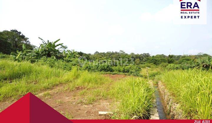 Tanah Luas Cocok Bangun Perumahan Dekat Tol Teja Serang 1